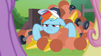 Rainbow Dash with disappointed pout S9E15
