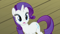 Rarity looking at Spike's wings MLPS1