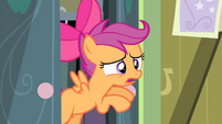 Scootaloo "Sweetie, no!" S4E17