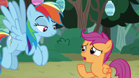 Scootaloo "after the last camping trip" S7E16