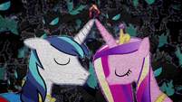 Shining Armor and Cadance combine their magic BFHHS1