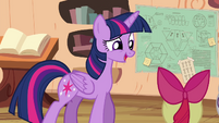 Twilight 'another few times' S4E15