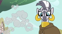 Zecora huh! S3E11