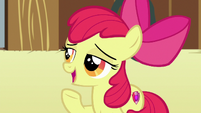 Apple Bloom "the most important thing I learned" S6E23