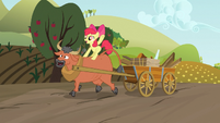 Apple Bloom riding a steer S03E08
