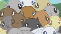 Sad bunnies.