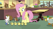 Ducklings chasing Angel Bunny S7E5