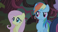 Fluttershy and Rainbow Dash S01E02