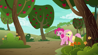 Pinkie Pie and Fluttershy walking home S6E18