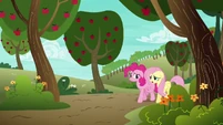 Pinkie Pie and Fluttershy walking home S6E18.png (1.04 MB)