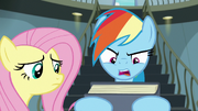 Rainbow "why would A. K. Yearling write that" S9E21