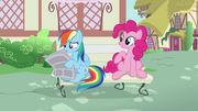 Rainbow takes newspaper away from Pinkie S7E18