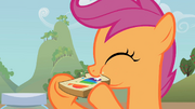 S02E12 Smacznego, Scootaloo