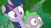 Twilight and Spike looking at spears S5E26