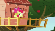 Apple Bloom about to close window S3E04