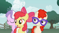 Apple Bloom where did you come from? S1E12