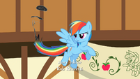 Rainbow Dash's poor tail S2E14