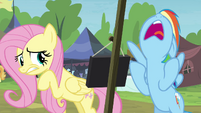 Rainbow Dash exasperated S4E22