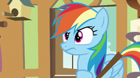 Rainbow Dash looking confused S6E11
