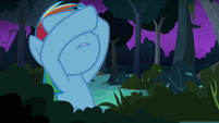 Rainbow Dash shields her eyes S4E04