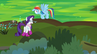 Rainbow and Rarity look at the bushes S8E17