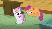Scootaloo can fly in the dream world S5E4