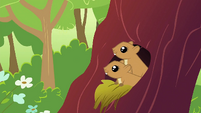 Squirrels in the trees S1E23
