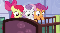 The CMC looks at the Cakes' babies S6E4