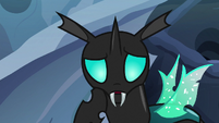 Thorax having a realization S6E26