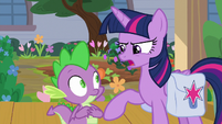 Twilight "we are fixing this now" S9E5