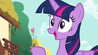 Twilight Sparkle remembering something S7E14