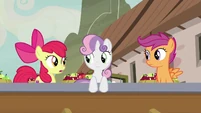 Apple Bloom "that must be Sugar Belle" S7E8.png (1.03 MB)