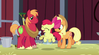 Apple Bloom being excited S5E17