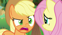 Applejack "how are we gonna solve" S8E23