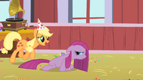 Applejack: "Why in the world would you think we didn’t like you anymore, sugarcube?"
