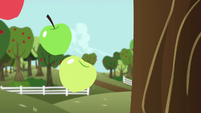 Apples fall out of the tree S6E6