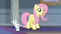 Fluttershy "that sounds nice" S8E1