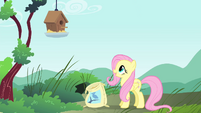 Fluttershy "there you go, Mr. Robin!" S4E23