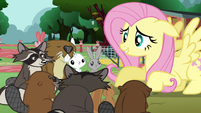 Fluttershy reassures the critters