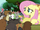Fluttershy with her pet animals S3E5.png
