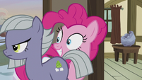 Limestone Pie walking past Pinkie S5E20