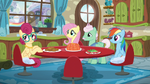 Mrs. Shy 'Zephyr Breeze has his...' S6E11