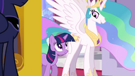 Princess Celestia and Twilight stops at the entrance S3E01