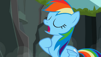 Rainbow Dash "I've flown" S2E07