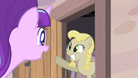 Starlight beckons a mare from her home S5E1