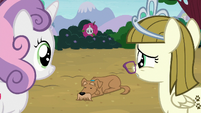 Sweetie Belle and Zipporwhill look at Ripley S7E6