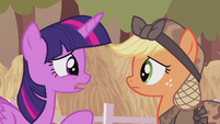 Twilight "you and I and those other ponies" S5E25