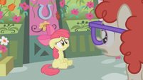 Twist tries to reassure Apple Bloom S1E12