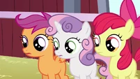 The CMC watching something.