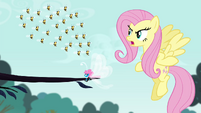 Fluttershy angry with the bees S4E16